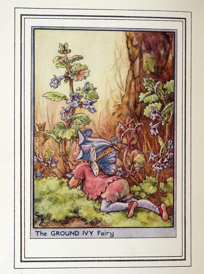 1950 First Edition - Fairies of the Flowers and Trees by Cicely Mary Barker