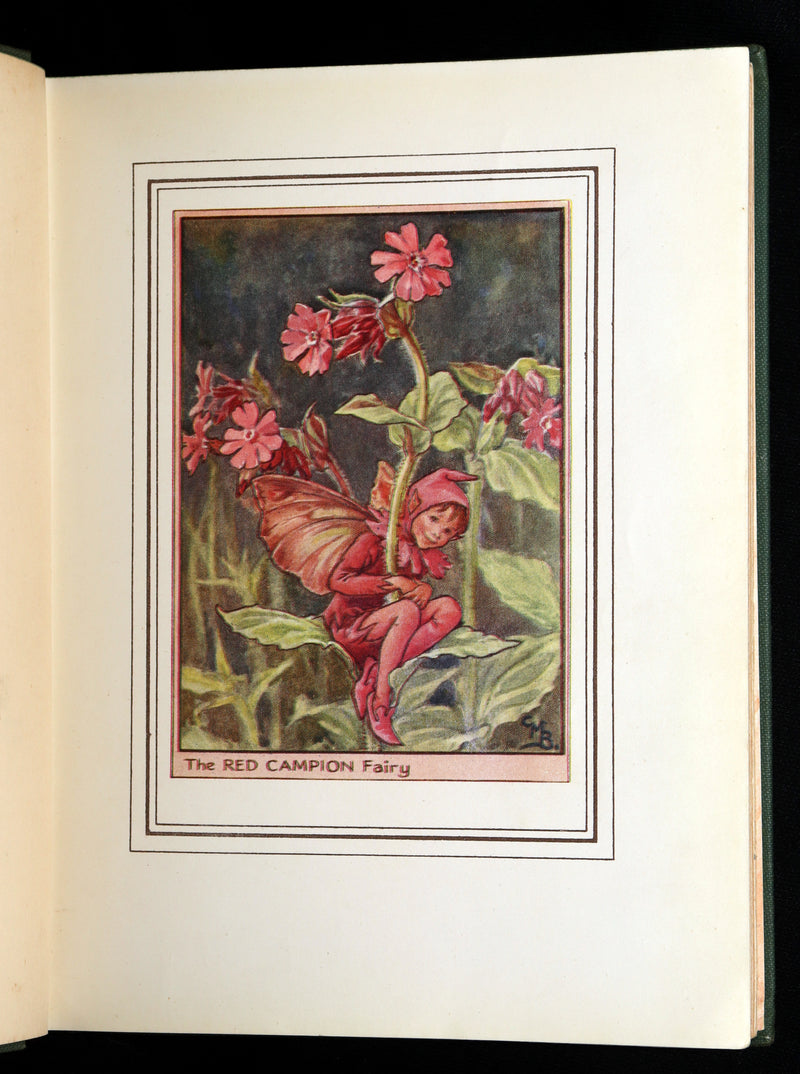 1950 First Edition - Fairies of the Flowers and Trees by Cicely Mary Barker