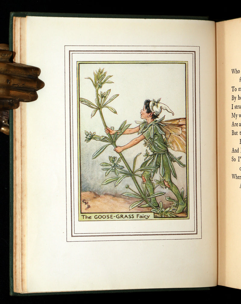 1950 First Edition - Fairies of the Flowers and Trees by Cicely Mary Barker