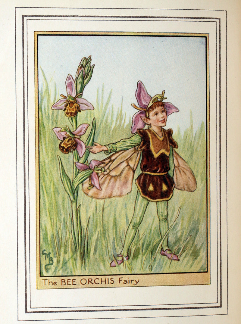 1950 First Edition - Fairies of the Flowers and Trees by Cicely Mary Barker