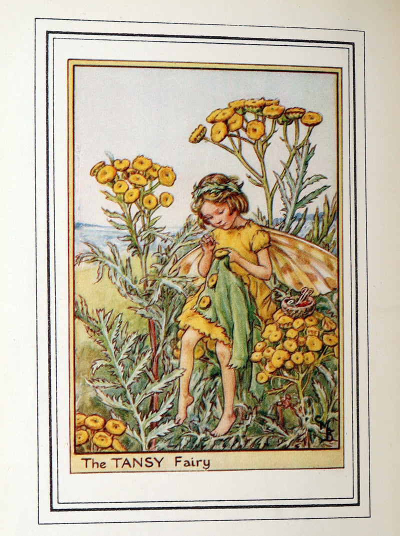1950 First Edition - Fairies of the Flowers and Trees by Cicely Mary Barker