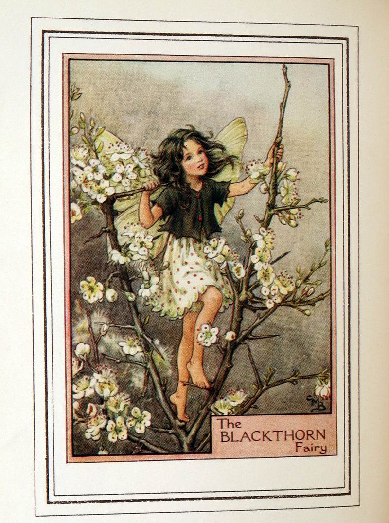 1950 First Edition - Fairies of the Flowers and Trees by Cicely Mary Barker