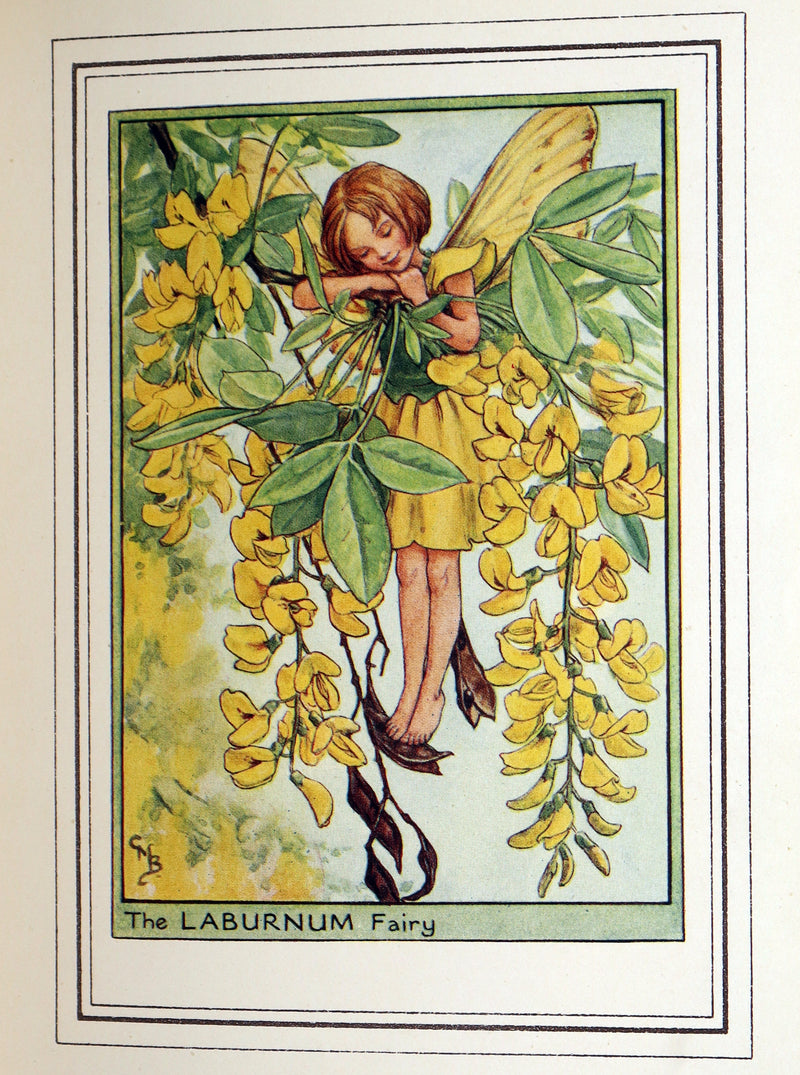 1950 First Edition - Fairies of the Flowers and Trees by Cicely Mary Barker