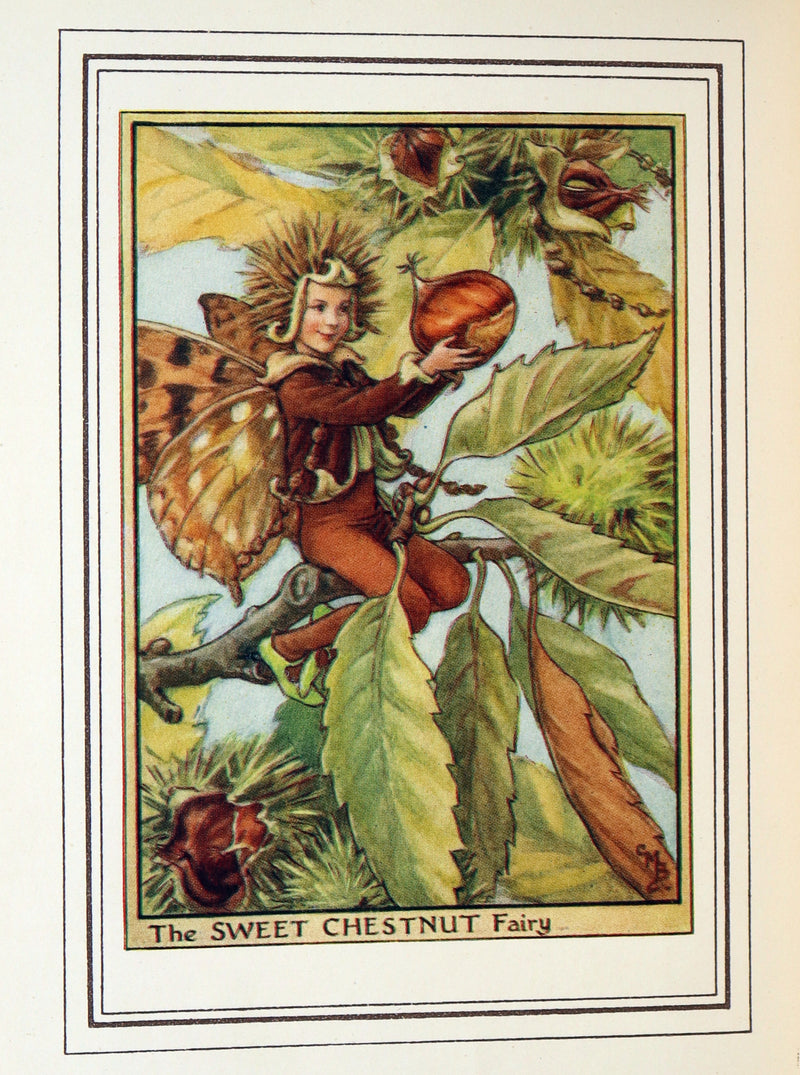 1950 First Edition - Fairies of the Flowers and Trees by Cicely Mary Barker