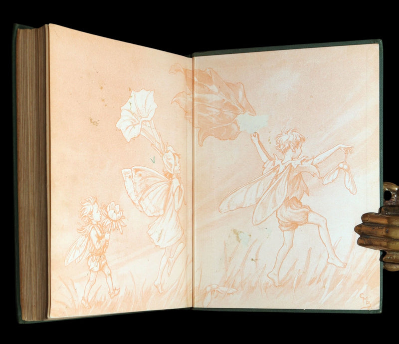 1950 First Edition - Fairies of the Flowers and Trees by Cicely Mary Barker