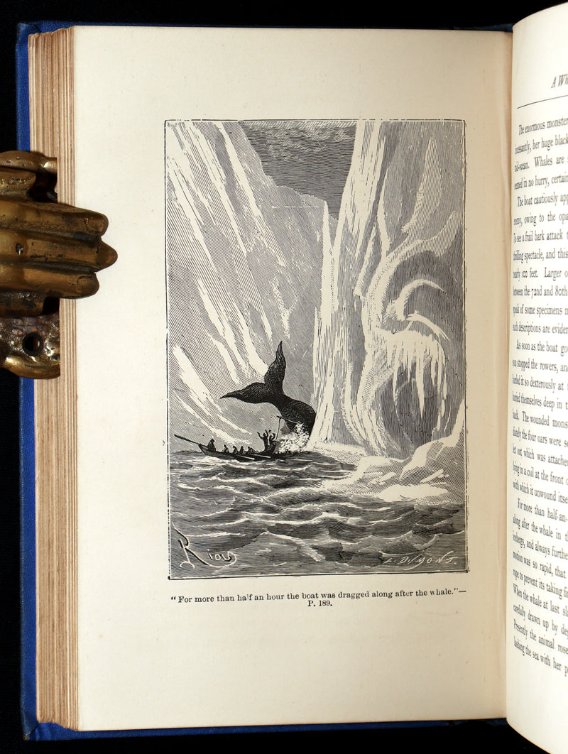 1875 First English Edition - The English at the North Pole by Jules Verne