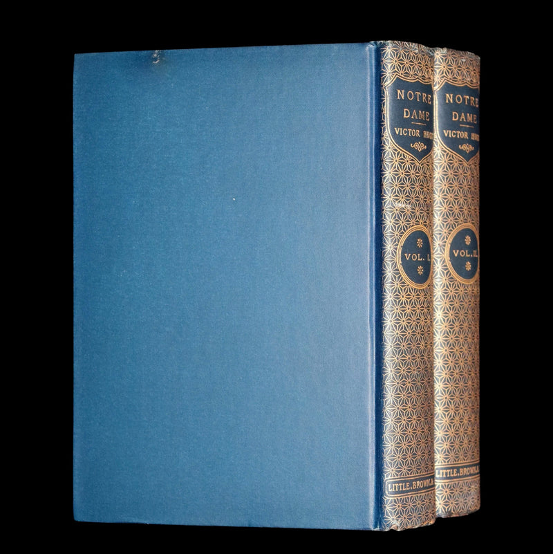 1888 Rare Victorian Book set - Victor Hugo's Hunchback of Notre-Dame, Gothic
