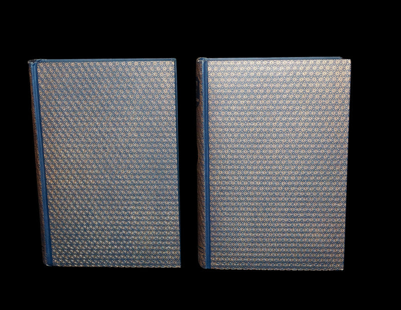 1888 Rare Victorian Book set - Victor Hugo's Hunchback of Notre-Dame, Gothic