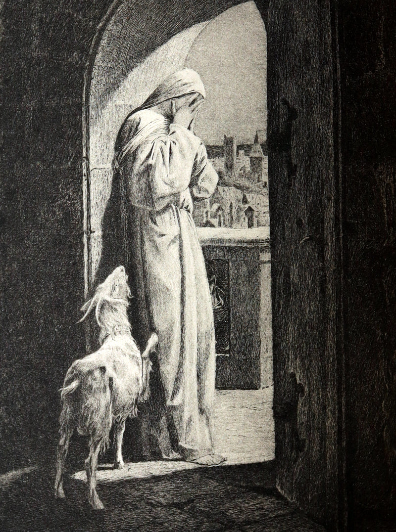 1888 Rare Victorian Book set - Victor Hugo's Hunchback of Notre-Dame, Gothic