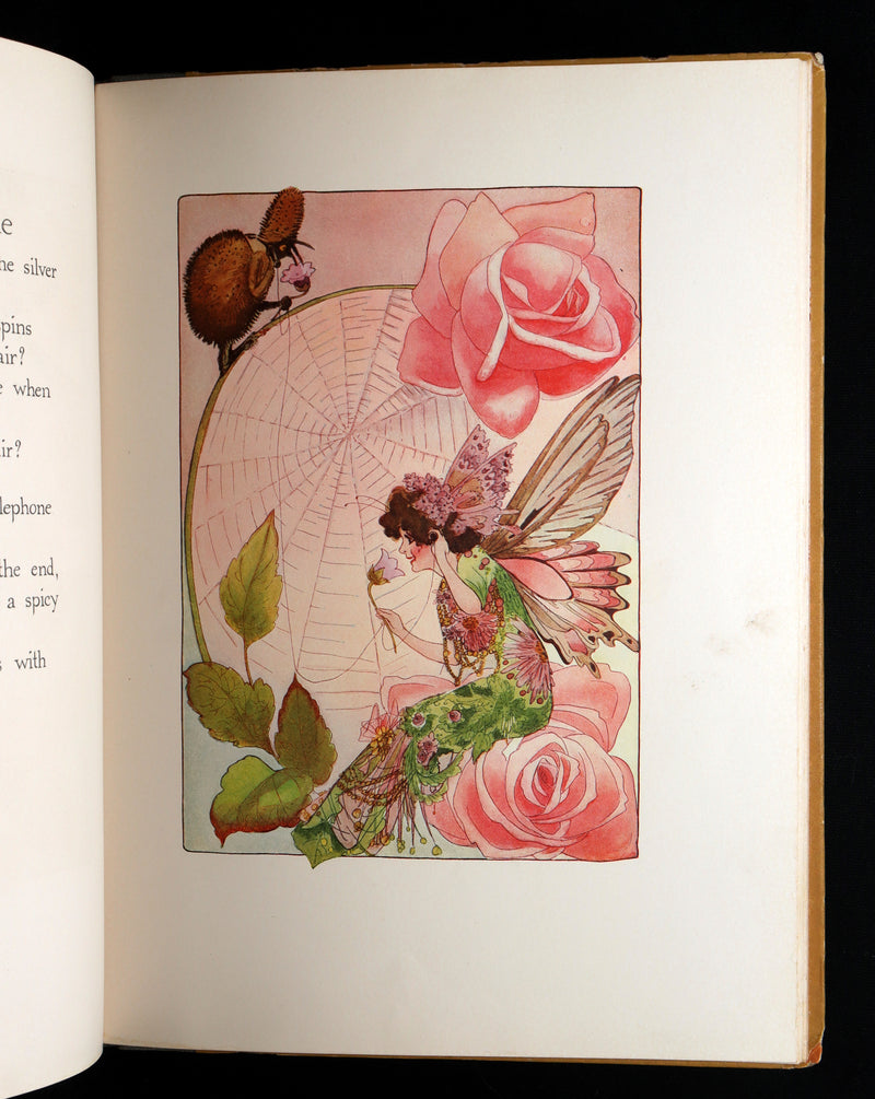 1914 Rare First Edition - A Year with the Fairies illustrated by Marion T. Ross