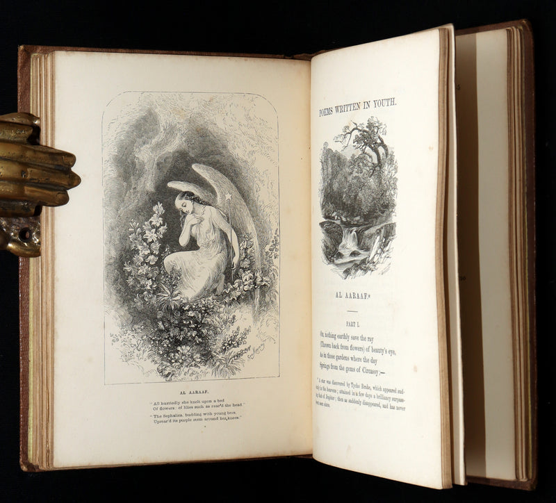 1860 Rare book - The Poetical Works of Edgar Allan Poe, Illustrated
