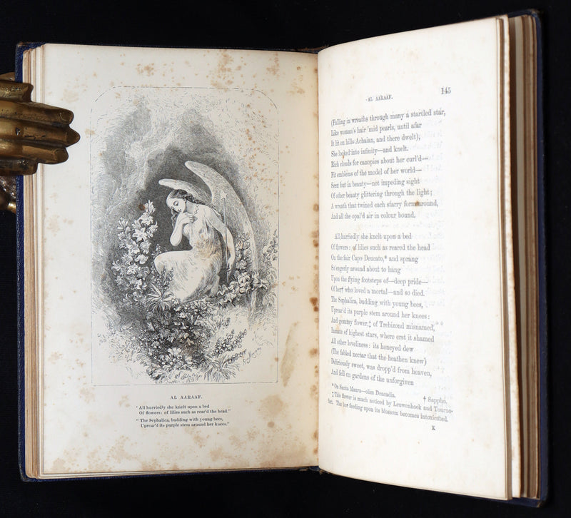 1859 Rare Victorian Book - The Poetical Works of Edgar Allan Poe, Illustrated