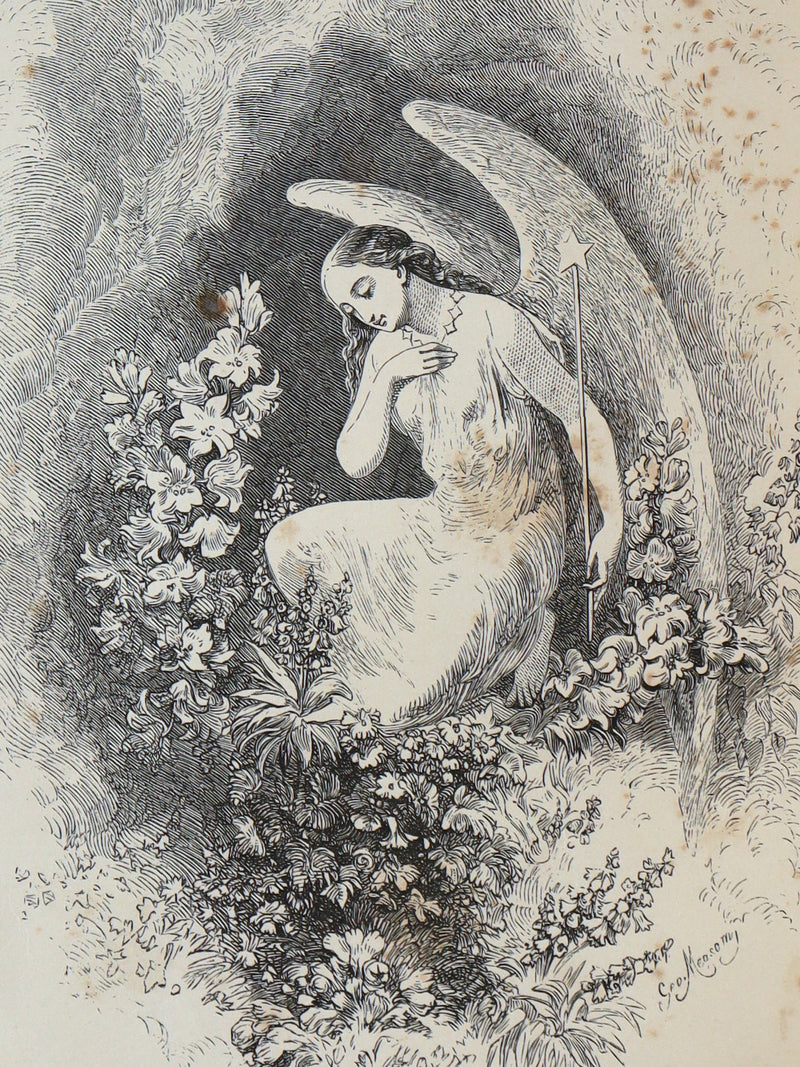 1859 Rare Victorian Book - The Poetical Works of Edgar Allan Poe, Illustrated