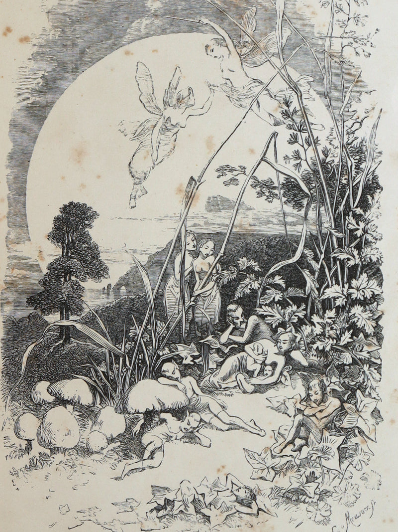 1859 Rare Victorian Book - The Poetical Works of Edgar Allan Poe, Illustrated