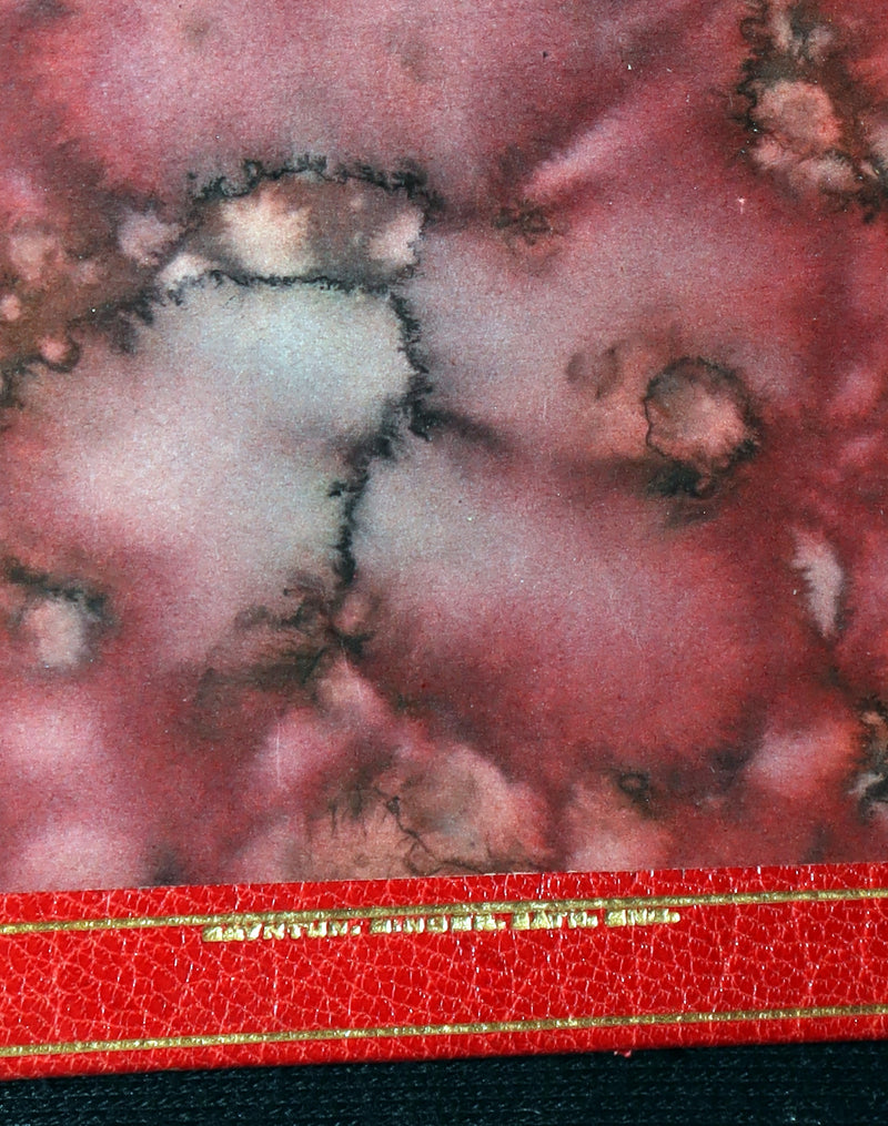 1904 Rare Book bound by Bayntun - Rubáiyát of Omar Khayyám, Illustrated