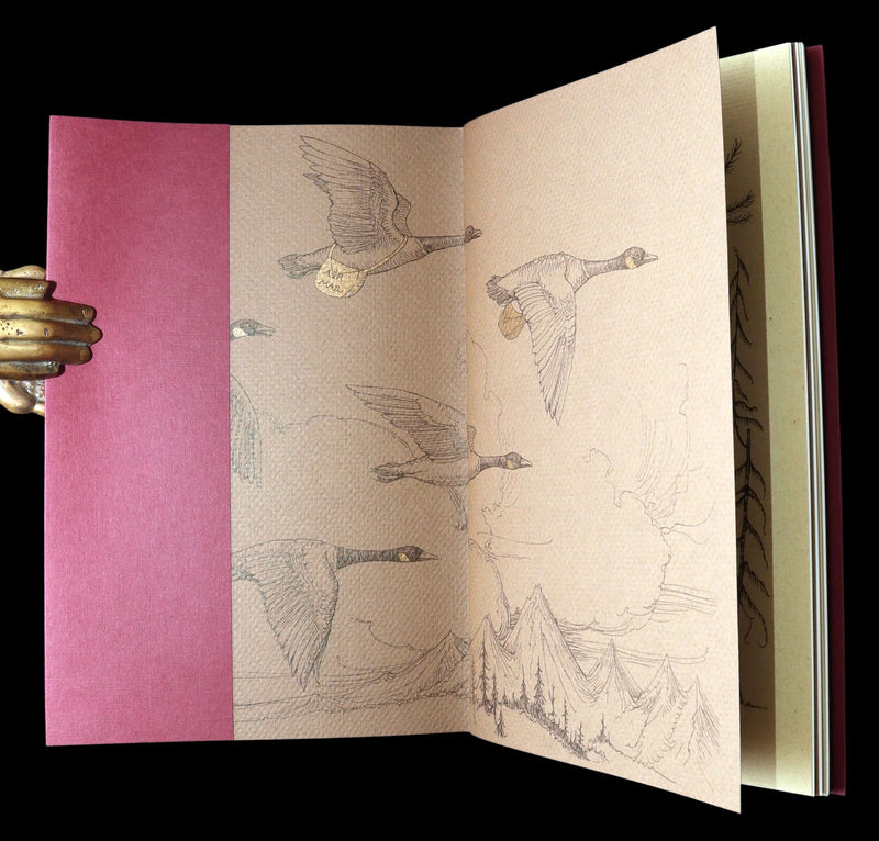 2009 Rare First Edition - Canadian Content illustrated by Charles van Sandwyk
