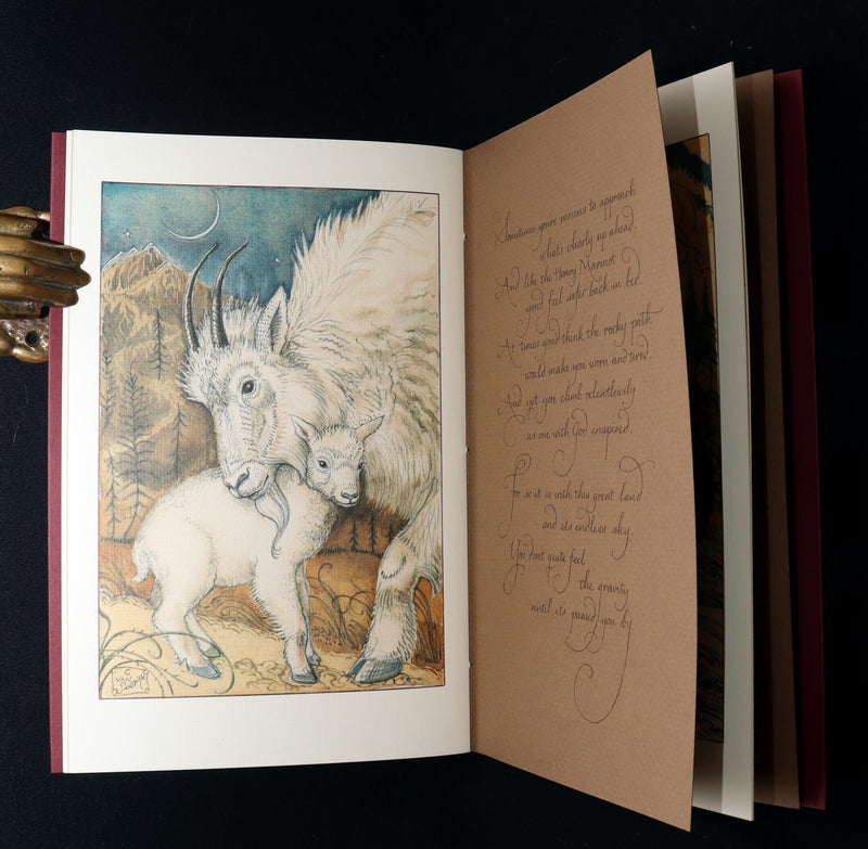 2009 Rare First Edition - Canadian Content illustrated by Charles van Sandwyk