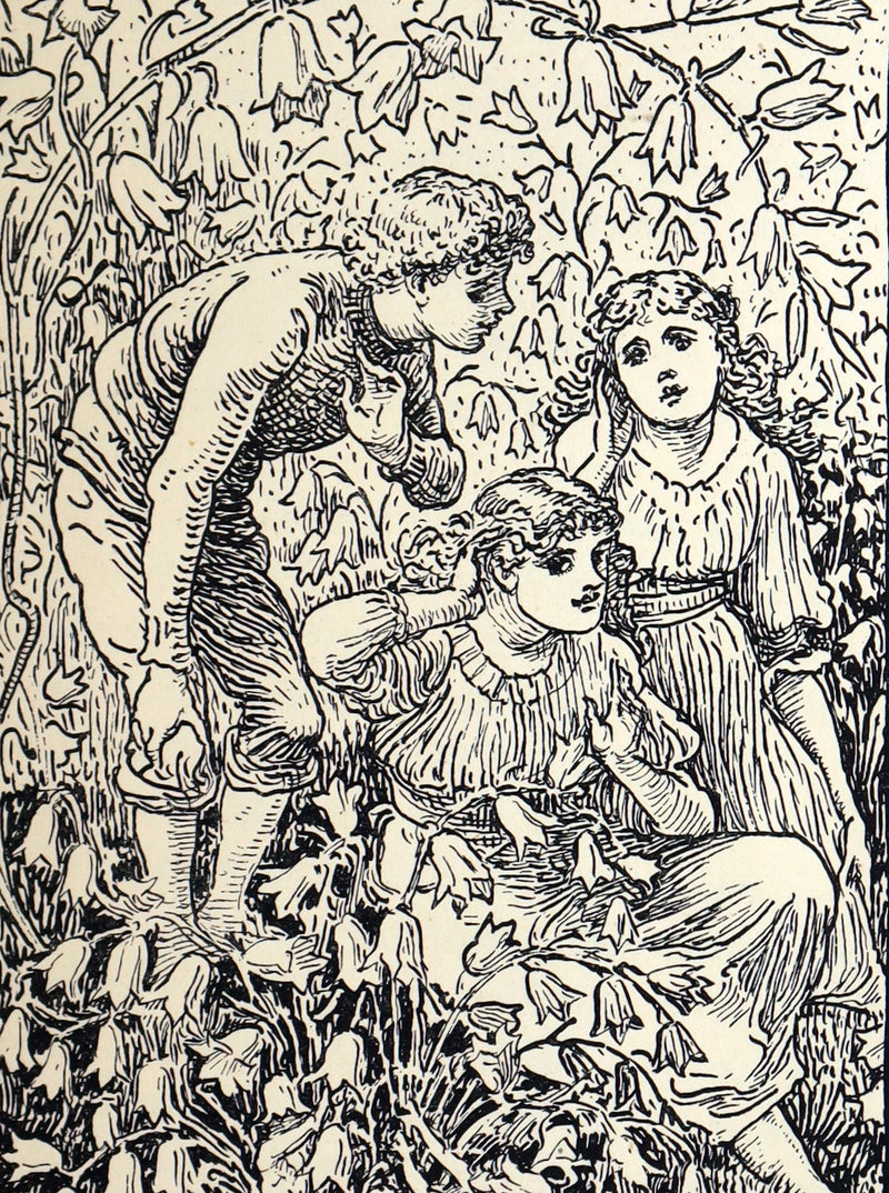 1890 Rare First Edition - The Children of the Castle illustrated by Walter Crane