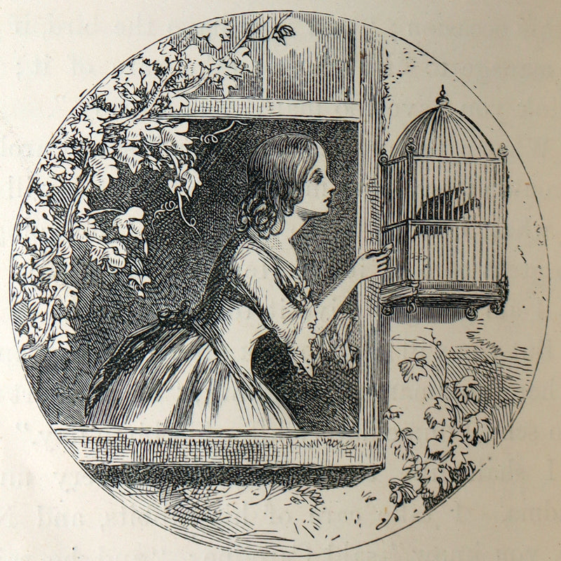 1882 Rare Victorian Book - Carry’s Rose or, The Magic of Kindness by Mrs Cupples