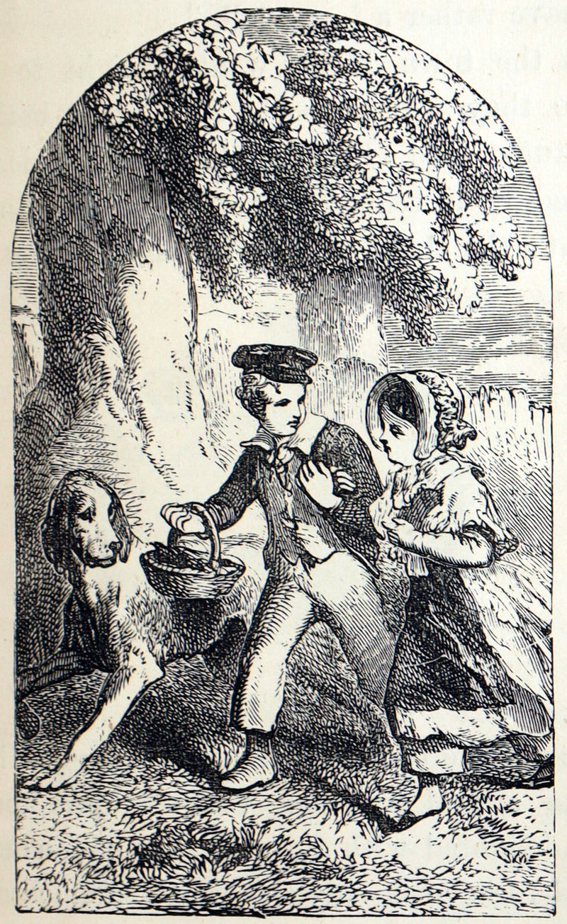 1882 Rare Victorian Book - Carry’s Rose or, The Magic of Kindness by Mrs Cupples