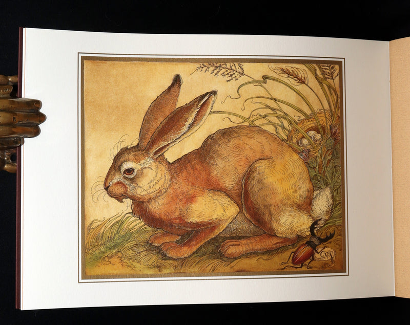 2021 Rare Signed Book - Animal Wisdom illustrated by Charles van Sandwyk