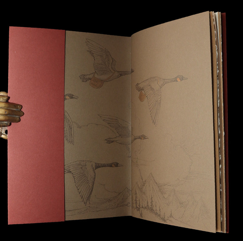 2009 Rare First Edition - Canadian Content illustrated by Charles van Sandwyk