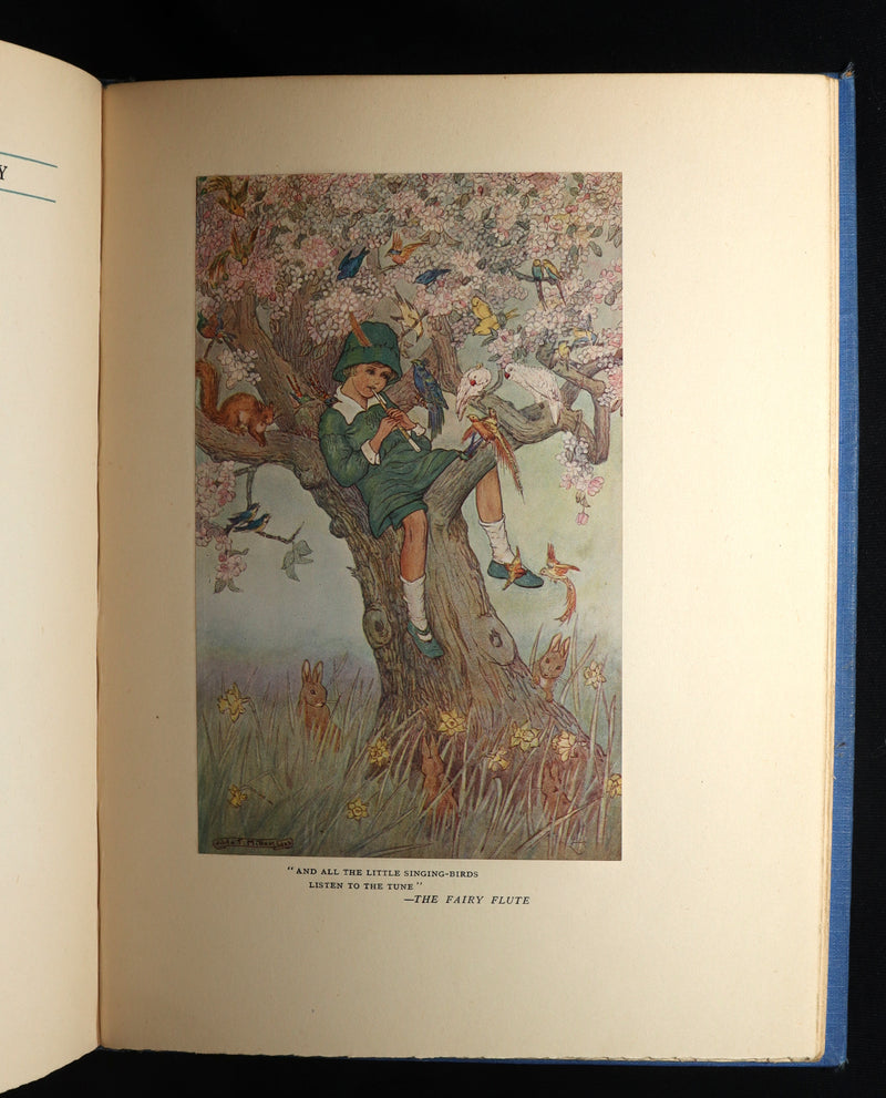 1923 First Edition - The Rose Fyleman Fairy Book Illustrated by Hilda T. Miller