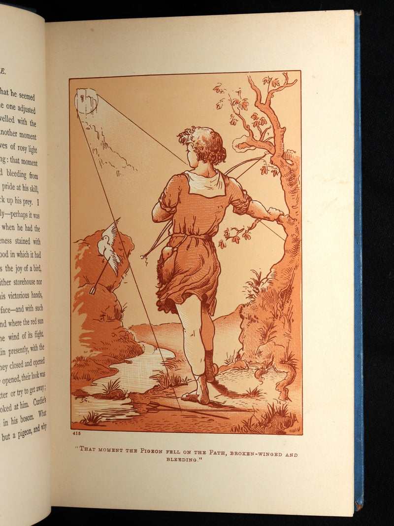 1890 Scarce Book - Macdonald's Princess And Curdie illustrated by James Allen