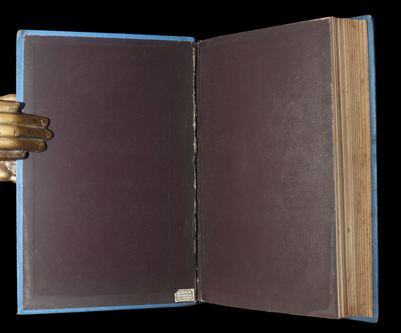 1890 Scarce Book - Macdonald's Princess And Curdie illustrated by James Allen