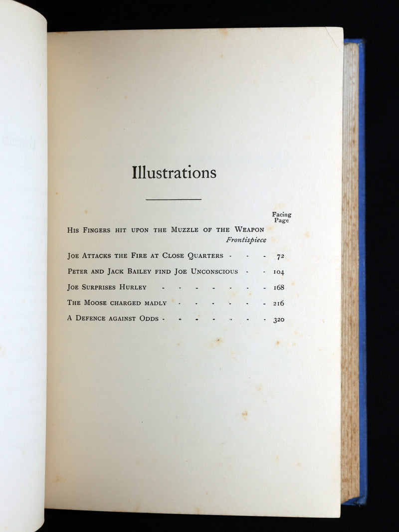 1920 Rare Book - A Boy of the Dominion: A Tale of Canadian Immigration
