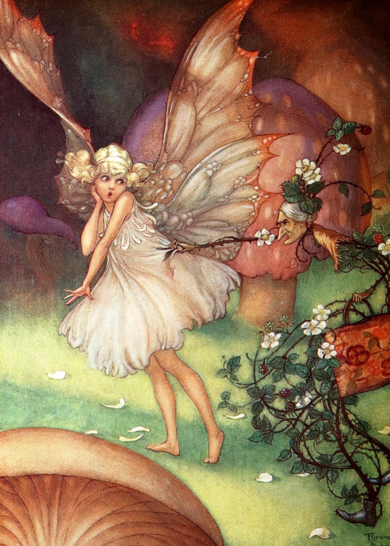 1920 Scarce First Edition - The Password to Fairyland by Florence Mary Anderson