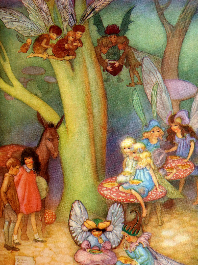 1920 Scarce First Edition - The Password to Fairyland by Florence Mary Anderson