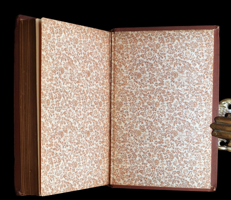 1882 Rare Book - Poems of Edgar Allan Poe With Memoir, Illustrated