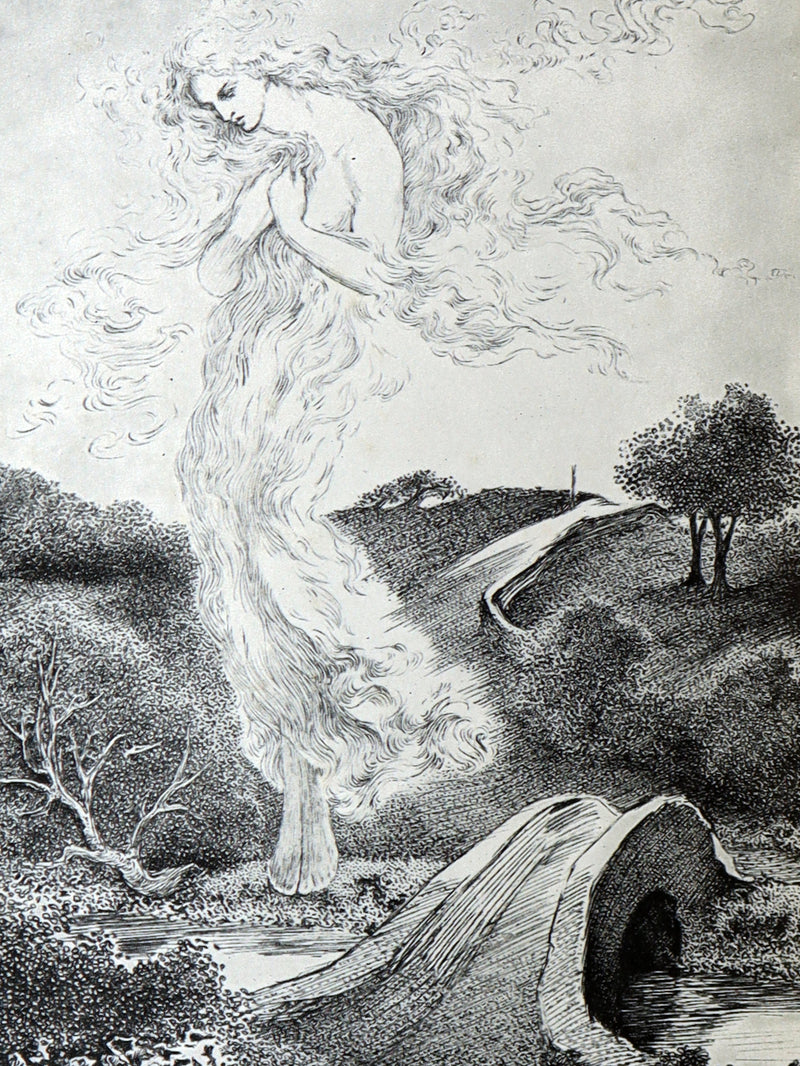 1900 Rare Book - At the Back of the North Wind by George MacDonald illustrated