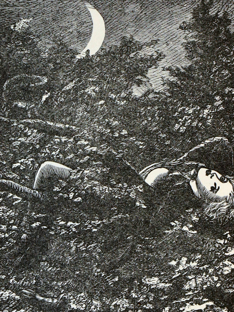 1900 Rare Book - At the Back of the North Wind by George MacDonald illustrated