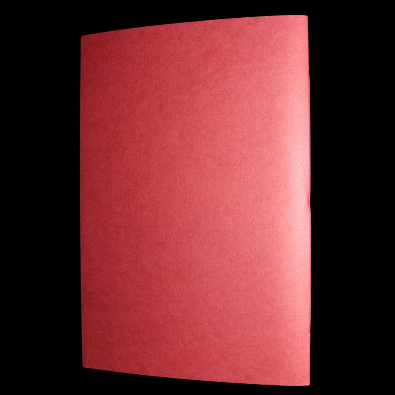 2009 Rare Signed Book - Canadian Content illustrated by Charles van Sandwyk