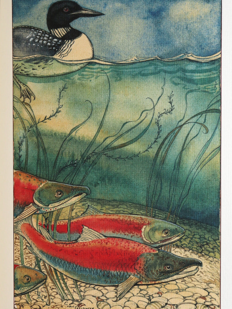 2009 Rare Signed Book - Canadian Content illustrated by Charles van Sandwyk