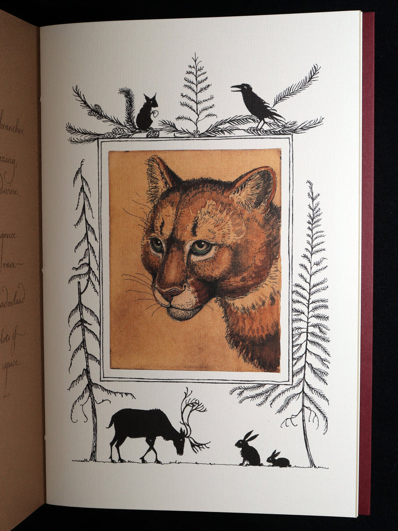 2009 Rare Signed Book - Canadian Content illustrated by Charles van Sandwyk