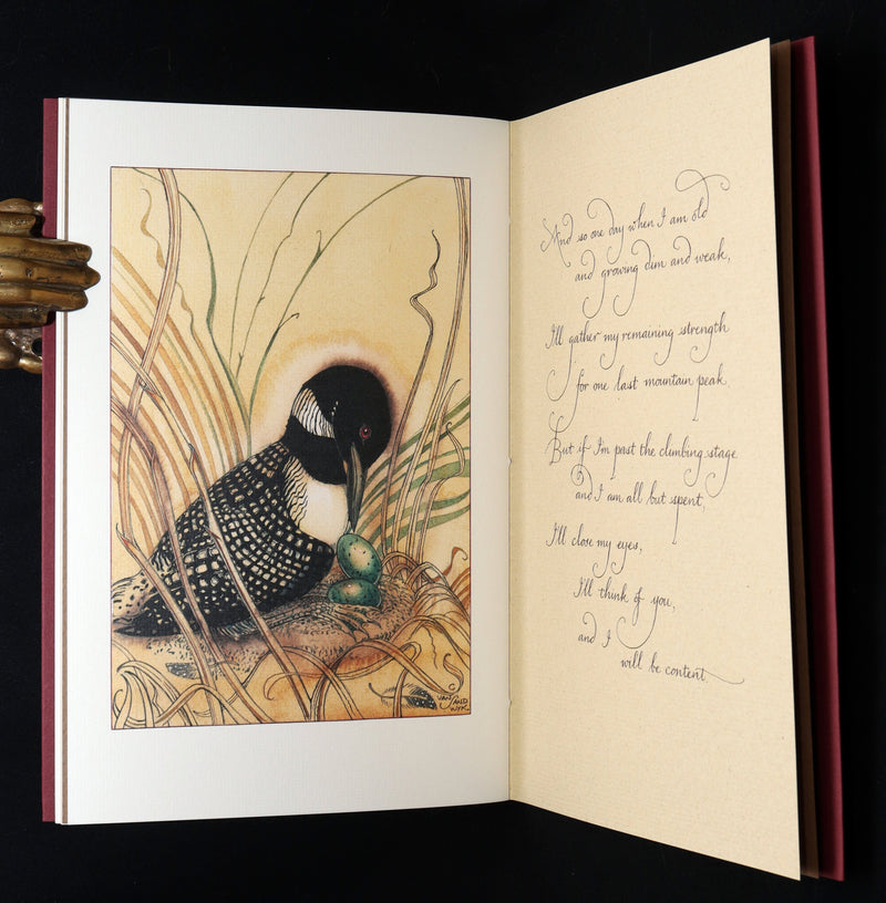 2009 Rare Signed Book - Canadian Content illustrated by Charles van Sandwyk