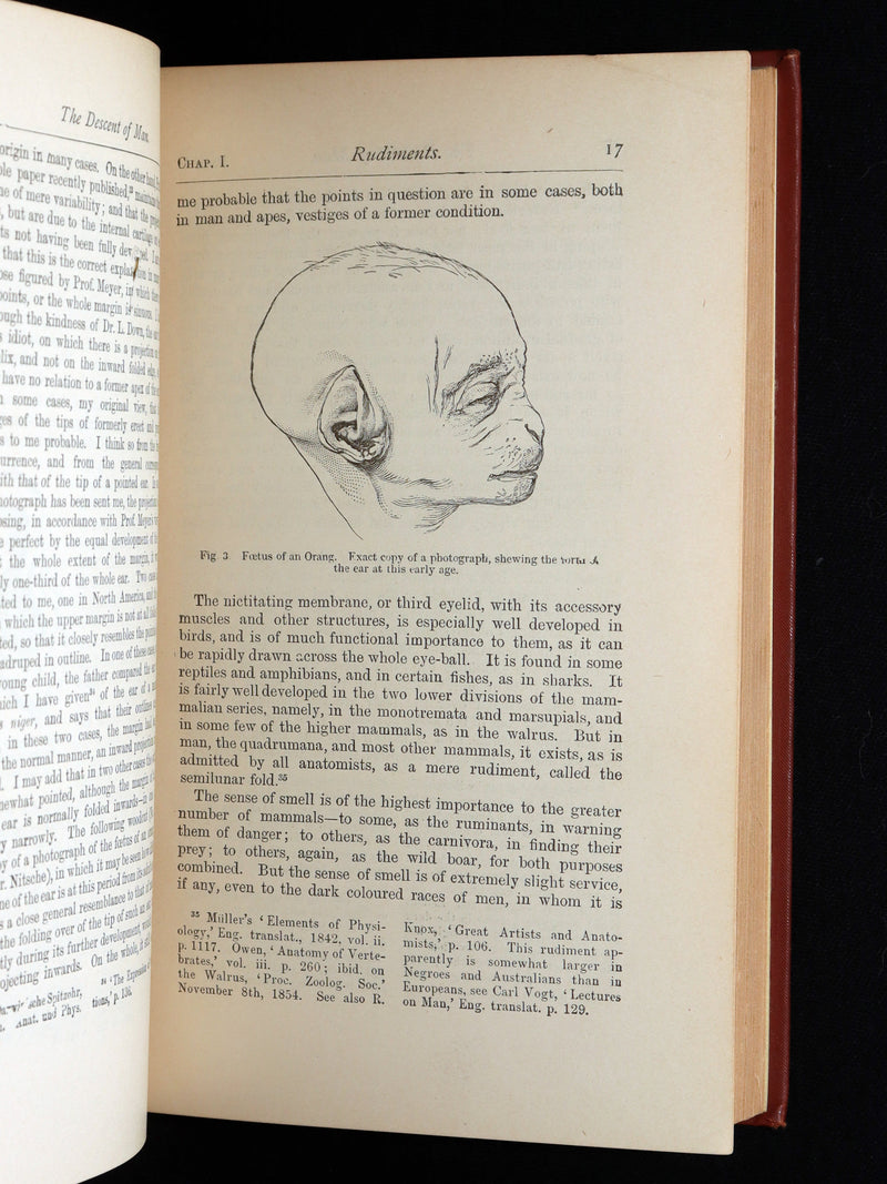 1892 The Descent of Man – Charles Darwin Rare Edition
