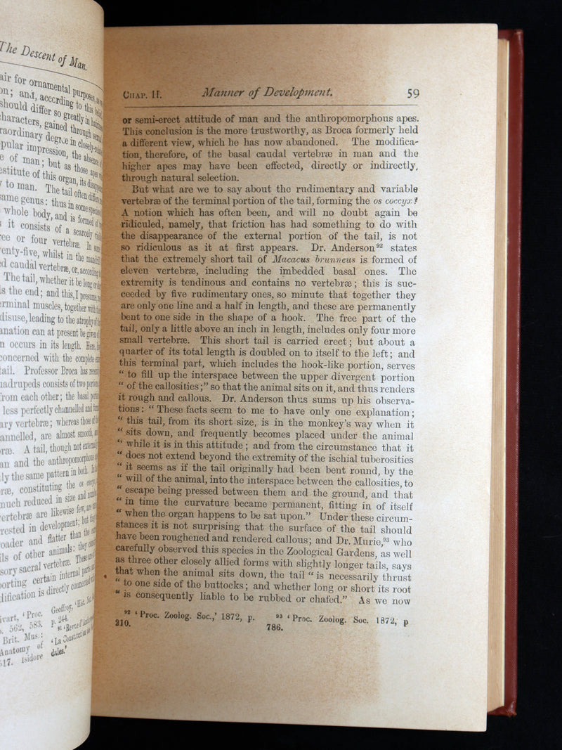 1892 The Descent of Man – Charles Darwin Rare Edition