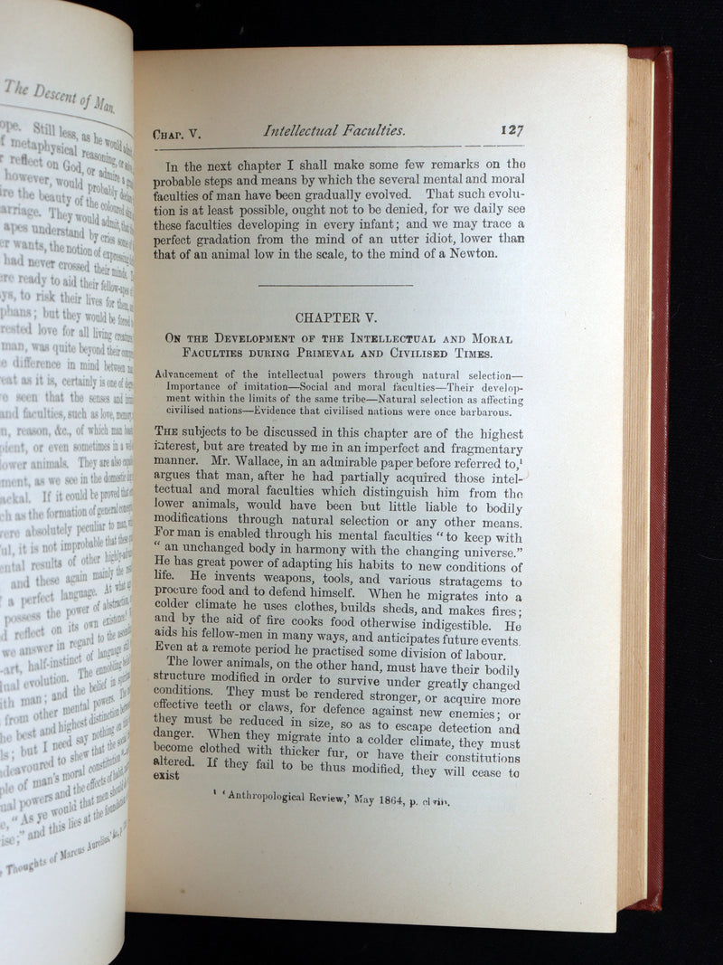 1892 The Descent of Man – Charles Darwin Rare Edition