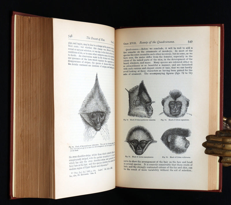 1892 The Descent of Man – Charles Darwin Rare Edition