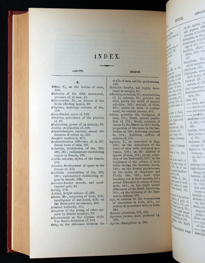 1892 The Descent of Man – Charles Darwin Rare Edition