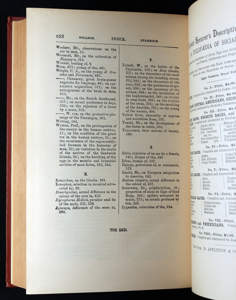 1892 The Descent of Man – Charles Darwin Rare Edition