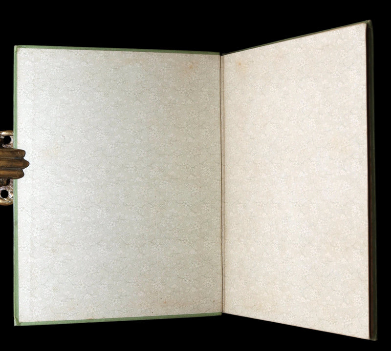 1890 Victorian Children’s Book – Lucky Ducks, Molesworth