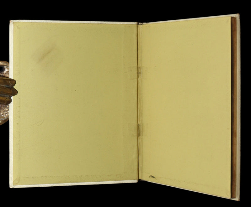 1884 Rare First Edition - Language of Flowers Illustrated by Kate Greenaway