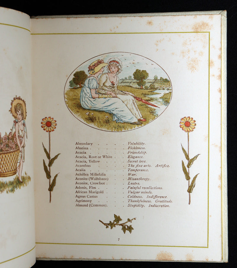 1884 Rare First Edition - Language of Flowers Illustrated by Kate Greenaway