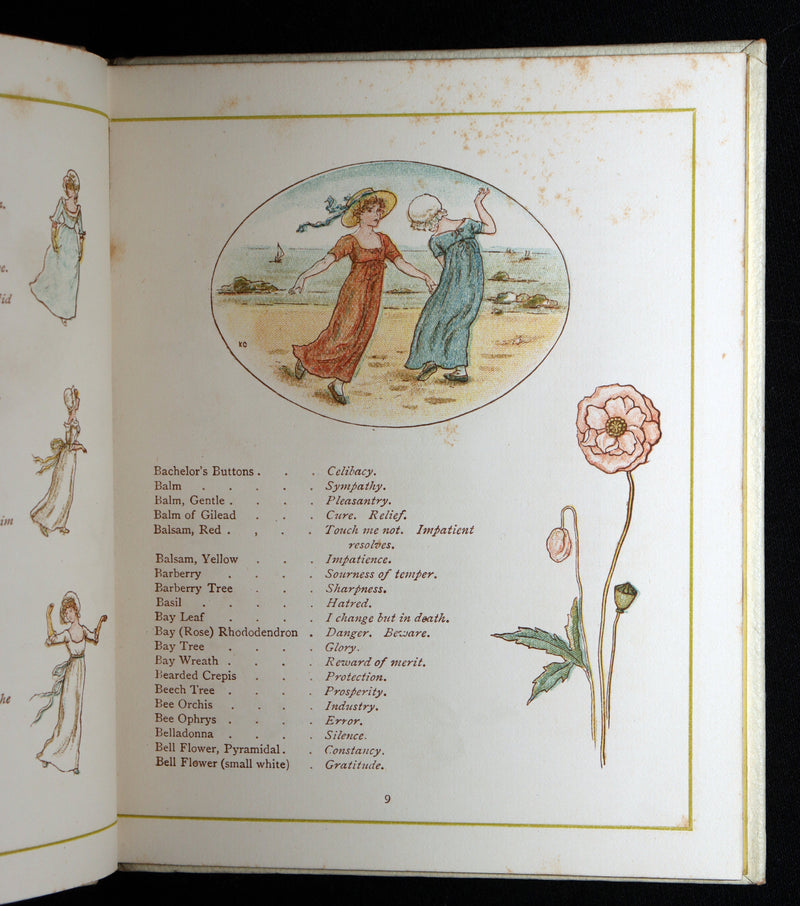 1884 Rare First Edition - Language of Flowers Illustrated by Kate Greenaway