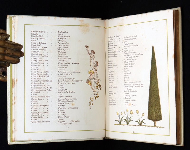1884 Rare First Edition - Language of Flowers Illustrated by Kate Greenaway